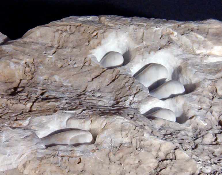Choice of carving stone