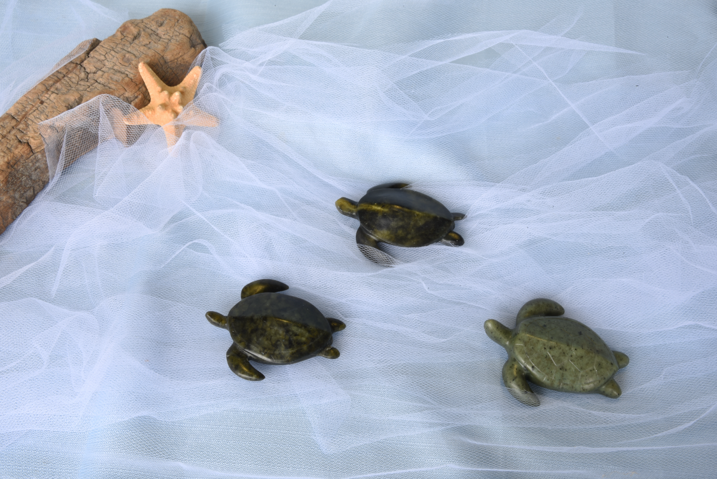Sea Turtle Soapstone Carving Kit