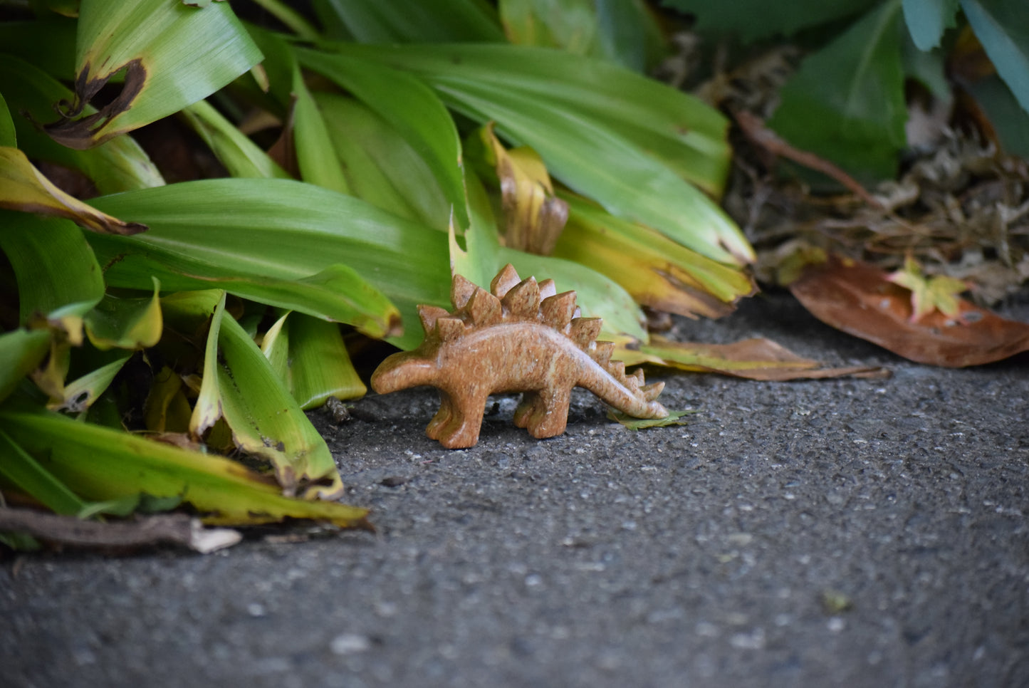 Stegosaurus Soapstone Carving Kit