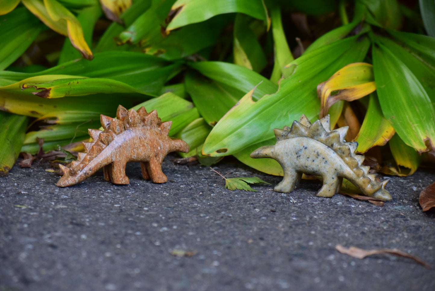 Stegosaurus Soapstone Carving Kit