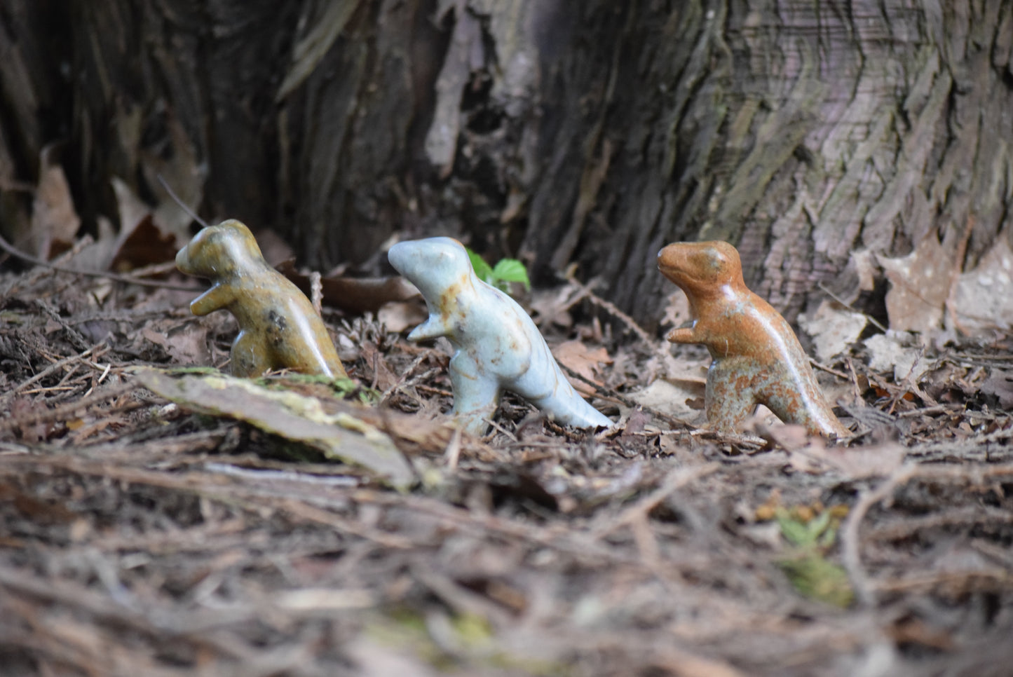 T-Rex Soapstone Carving Kit