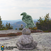 Load image into Gallery viewer, Eagle Soapstone Carving Kit by Studiostone Creative
