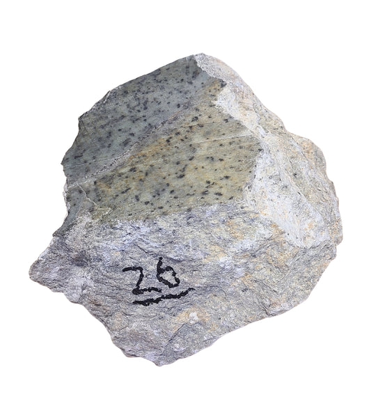 26lbs Single Soapstone Block