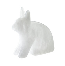 Charger l&#39;image dans la galerie, Arctic Hare Alabaster Carving Kit by Studiostone Creative

