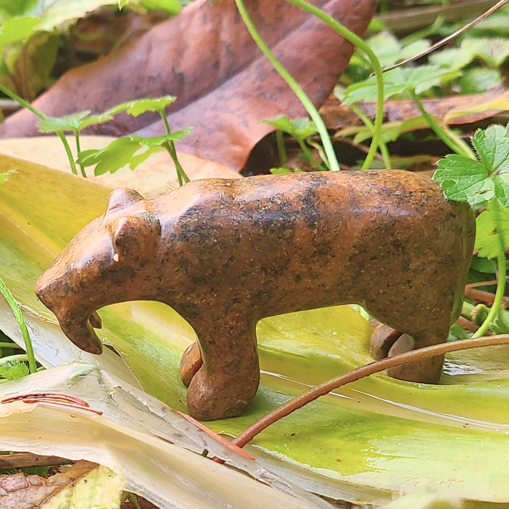 Kit de sculpture sur pierre à savon Aigle